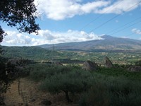 gale-20120725 069